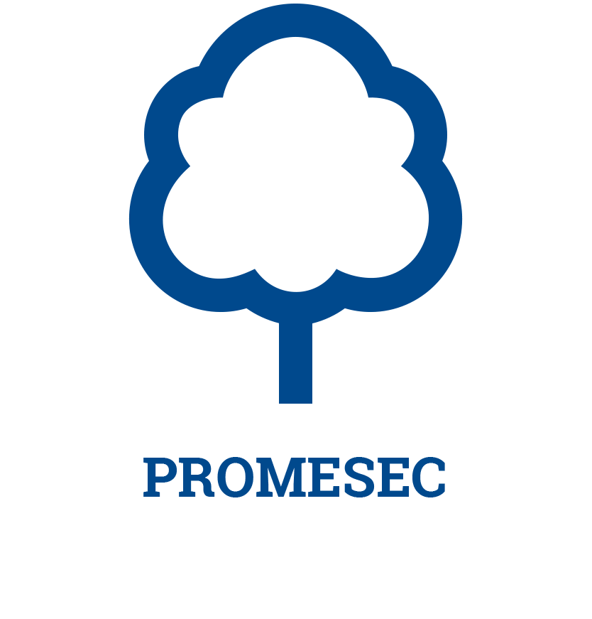 Ícono clickeable con logo de PROMESEC que lleva a la página de Programa de Medidas Socioeducativas Comunitarias