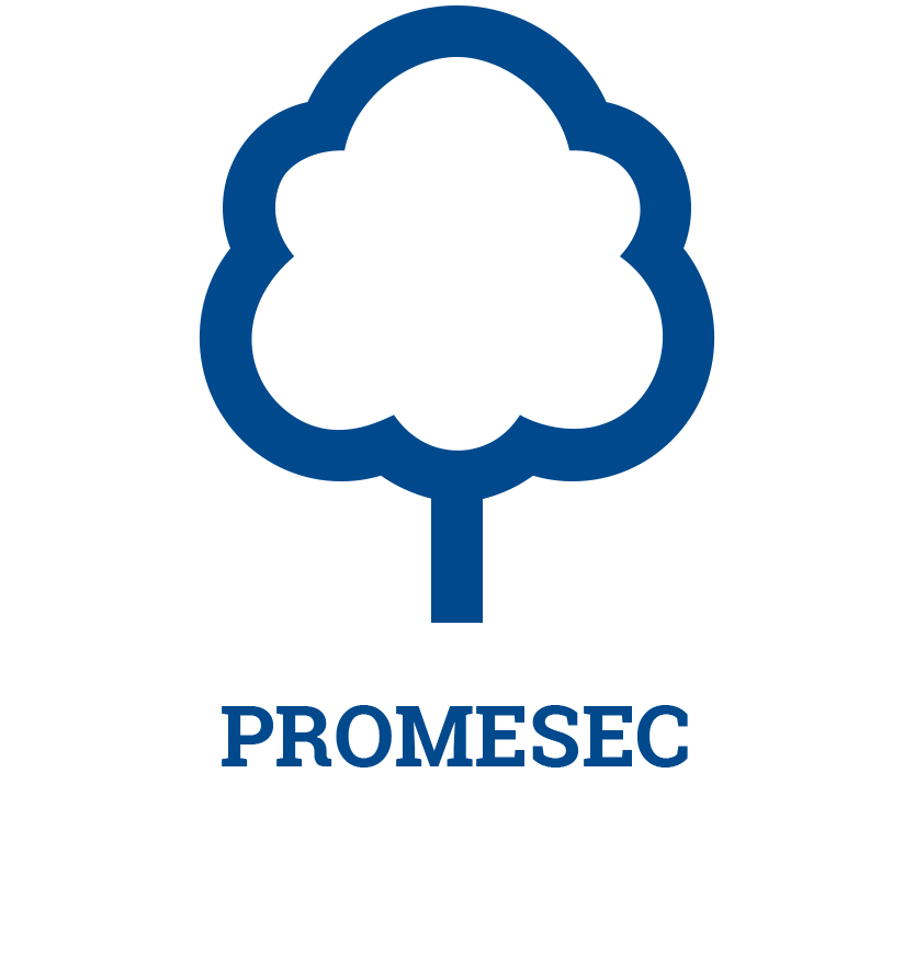Ir al Programa de Medidas Socioeducativas Comunitarias