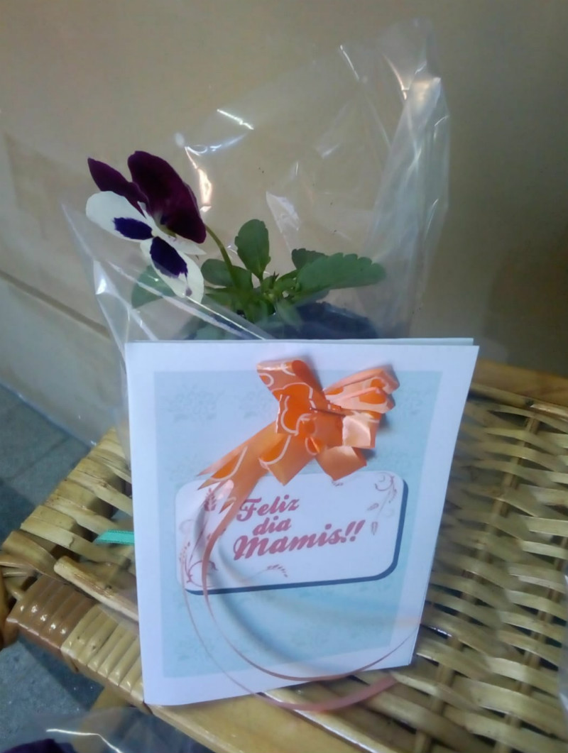 Rosa para las madres